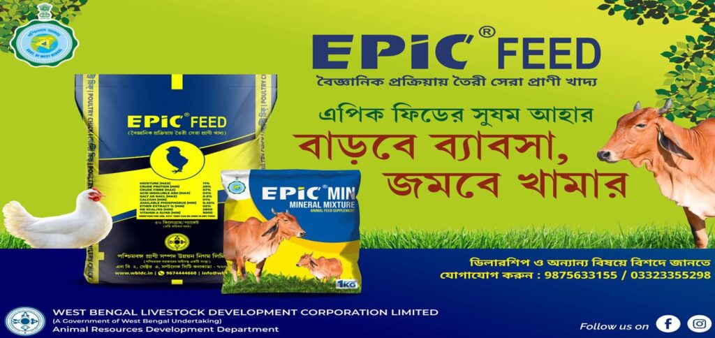 EPIC Animal Feed products displayed in factory-sealed bags for cattle and livestock in West Bengal