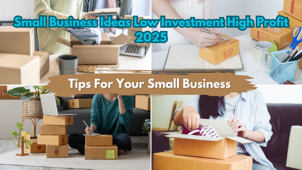 Small Business Ideas Low Investment High Profit 2025